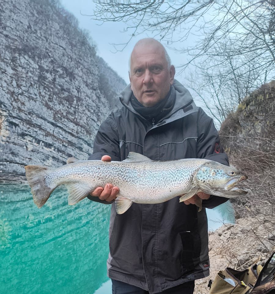 Marmorata 70cm